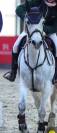 Poney D 