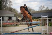 Jument de cso 