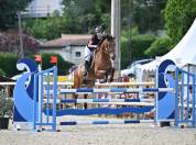 Jument de cso 