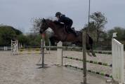 Jument de cso 