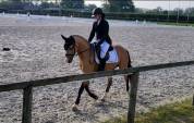Entier pfs 4ans gros potentiel 