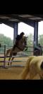 Poney D 7 ans 