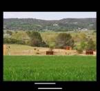 Pension chevaux
