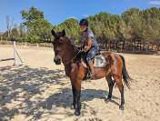 Pension chevaux