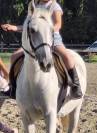 À vendre pour poulinière et compagnie 