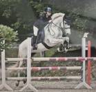 Cheval cso