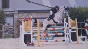 Cheval cso