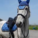 Cheval cso