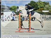 Cheval cso