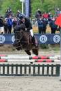 A LOUER PONEY B 