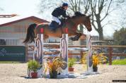 Hongre 9 ans gagnant 125