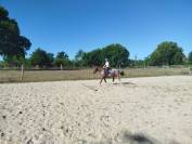 PONETTE APPALOOSA ONCP