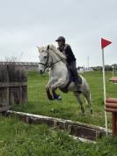 Ponette Camargue 5 ans 