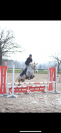 Ponette Camargue 5 ans 