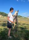 Poulain Appaloosa Palomino