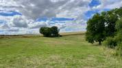 Pension pré / location pré chevaux Yvelines 