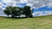 Pension pré / location pré chevaux Yvelines 