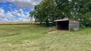 Pension pré / location pré chevaux Yvelines 
