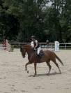 Jument zangersheide de 7 ans 