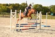 Ponette taille C PFS 7 ans 