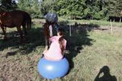Puledra sBs Cavallo da Sport Belgio In vendita 2025 Sauro ,  Newston Sitte LB