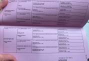 Poulain BWP d'un an 