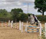 Yegua de salto con 10 años