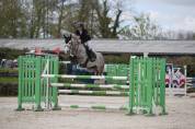 Poney pour Grand Prix 