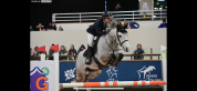 Poney pour Grand Prix 
