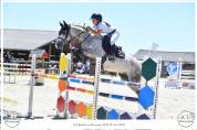Poney pour Grand Prix 
