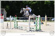 Poney pour Grand Prix 