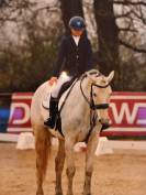 Poney de sport/famille 