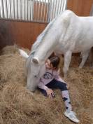 Poney de sport/famille 