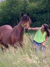 Poney New Forest