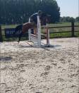 Hongre 5ans quabri de l’isle X mister blue 