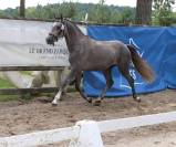 Entier pfs 145cm 3 ans