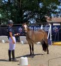 Ponette PFS 2 ans 