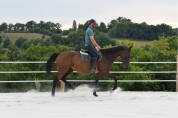 CHEVAL PS 5 ANS 1m66