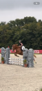 Dp cheval 