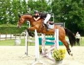 Jument sport 