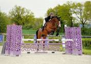 Jument sport 
