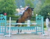 Jument sport 