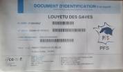 PONEY PFS 4 ANS HONGRE