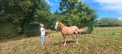 PONEY PFS 4 ANS HONGRE