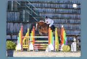 PONEY PFS 4 ANS HONGRE
