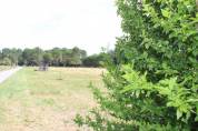 PROPRIETE EQUESTRE EN GIRONDE AVEC 15 HECTARES