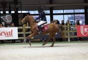 Ponette 7 ans, 1m47