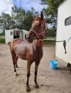 Ponette 7 ans, 1m47