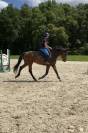 Jument 5 ans à vendre 
