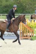 LOVERBOY MAIL / Hongre / 4 ans 